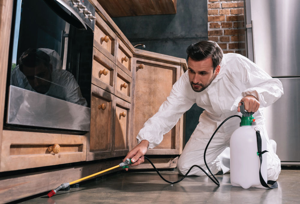 Who Pays for What When Selling a House: A Complete Guide